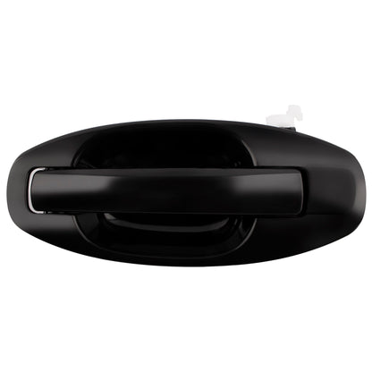 BOXI Rear Left Driver Side Exterior Outside Door Handle Fits for Hyundai Santa Fe 2001 2002 2003