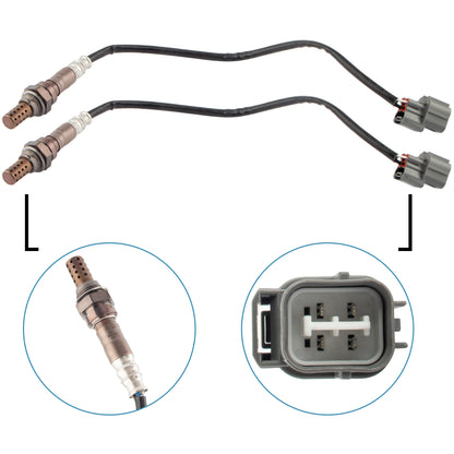 BOXI Oxygen Sensor BX03800009-2 — product photo 2