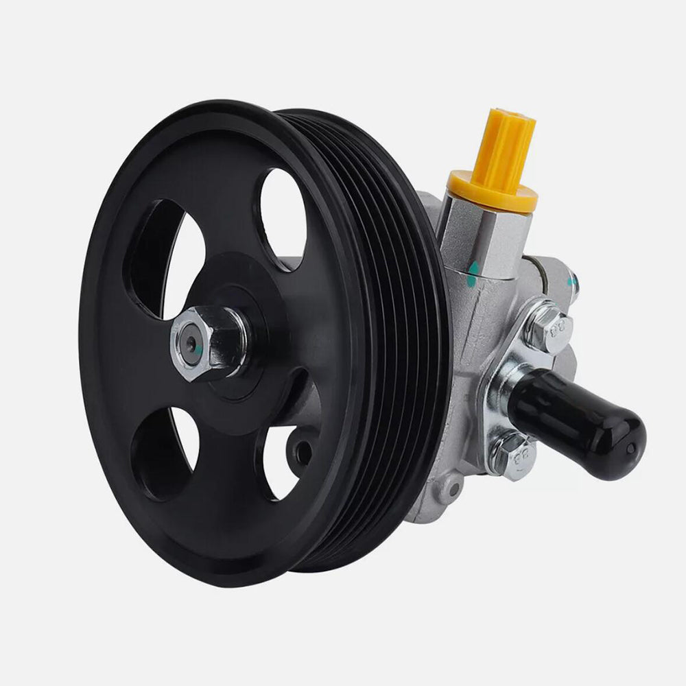 BOXI Power Steering Pump Compatible with Nissan BX06600030-1