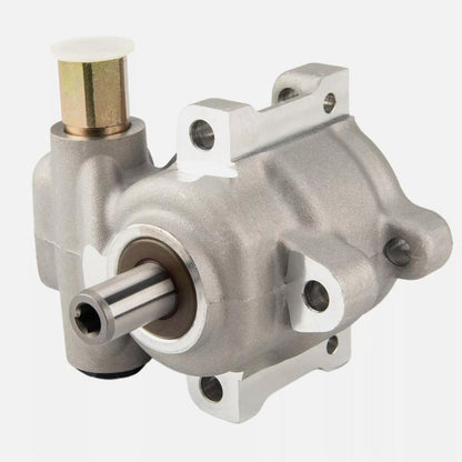 BOXI Power Steering Pump Compatible with Dodge BX06600046-1