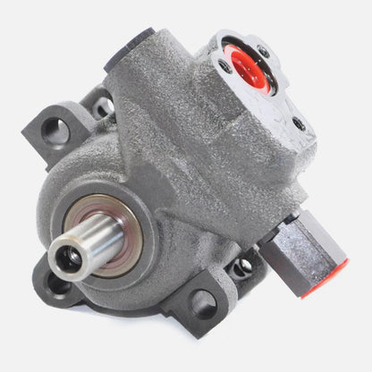 BOXI Power Steering Pump Compatible with Dodge BX06600067-1