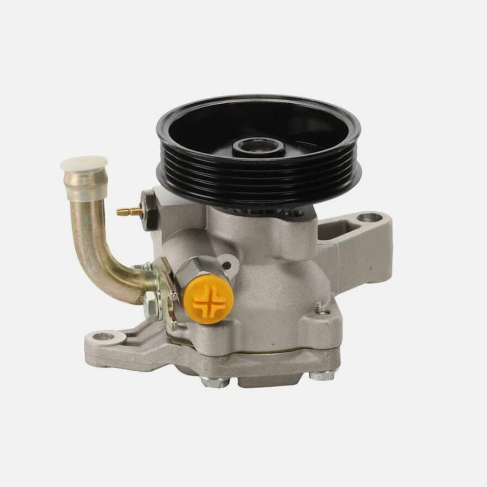 BOXI Power Steering Pump Compatible with Kia BX06600089-1