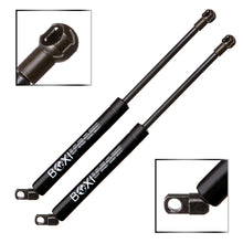 BOXI Qty(2) BOXI Trunk Gas Charged Lift Support for BMW 740i 1993-1995